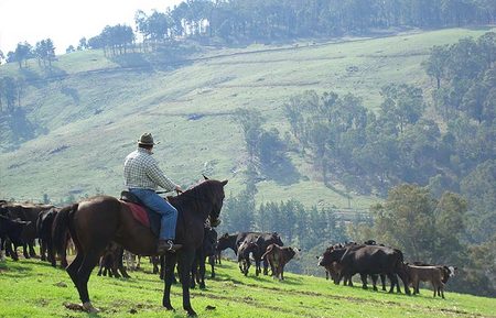 Bridgetown Riverside Chalets - Accommodation Cooktown 3