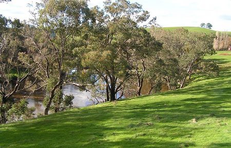 Bridgetown Riverside Chalets - Accommodation Cooktown 4