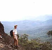 Mimosa Hill Wildflower Farm Cottages - Accommodation Cooktown