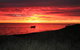 Pelicans Landing - thumb 4