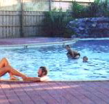 Shark Bay Caravan Park - Accommodation Cooktown