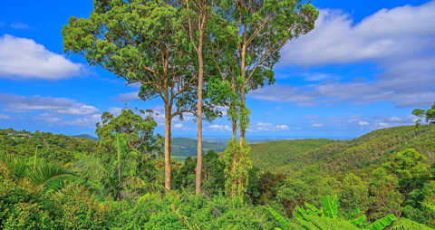 Cloud 9 Cliff Top Eagle Heights - Accommodation Cooktown 1
