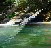 Daintree Secrets Rainforest Sanctuary - Accommodation Cooktown