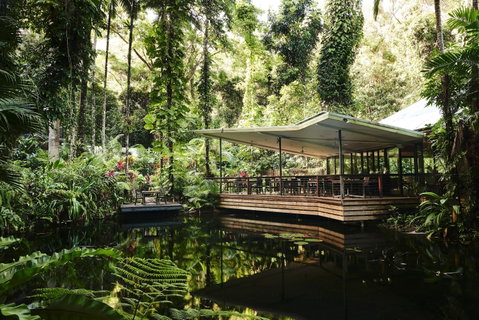 Daintree Ecolodge - Accommodation Cooktown 1