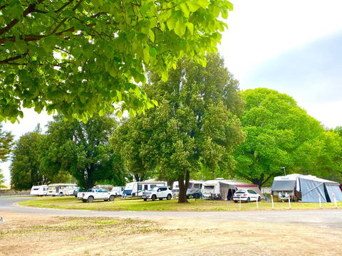 Molong Caravan Park - Accommodation Cooktown 1
