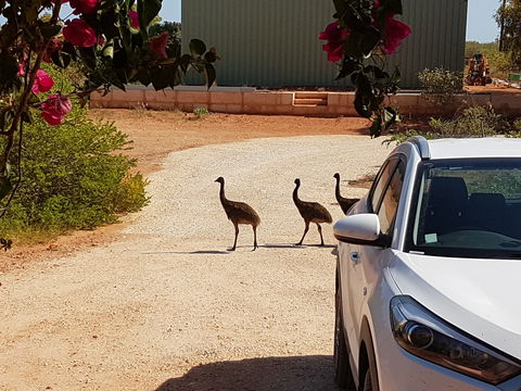 Ningaloo Bed And Breakfast - Accommodation Cooktown 1