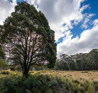 Nunnock campground - Accommodation Cooktown
