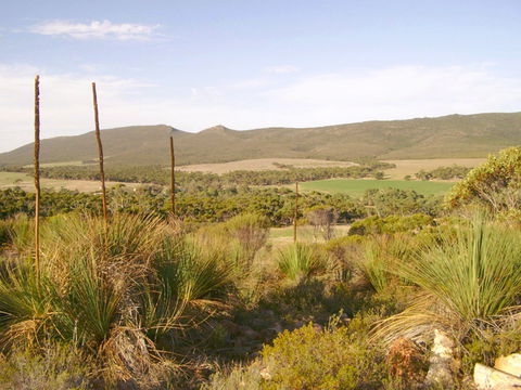 Nyroca Campsite & Group Accommodation - Accommodation Cooktown 0
