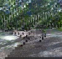 Stringers Camp at Lane Poole Reserve - Accommodation Cooktown