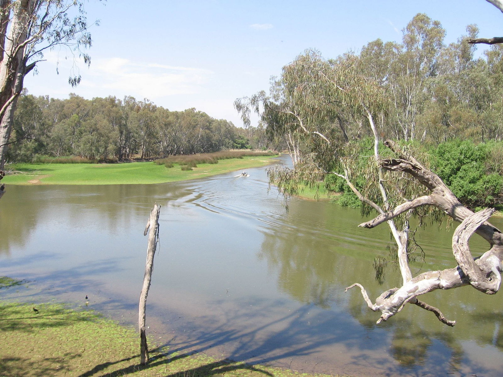 Collendina NSW Accommodation Cooktown