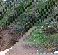 Tonys Bend Campground at Lane Poole Reserve - Accommodation Cooktown