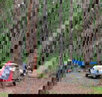 Wallingat River campground - Accommodation Cooktown