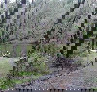 Yarragil Camp at  Lane Poole Reserve - Accommodation Cooktown