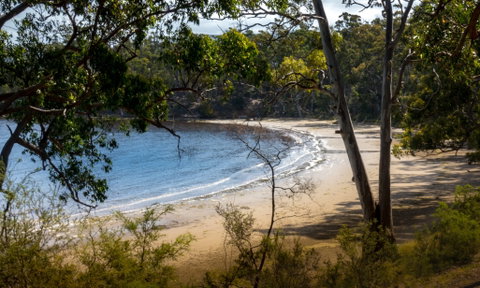 Beaupre Farm - Accommodation Cooktown 1