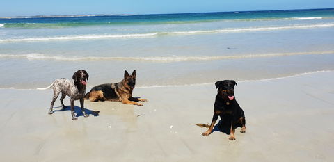 BIG4 Warrnambool Figtree Holiday Park - Accommodation Cooktown 2