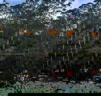 Billabong Retreat - Accommodation Cooktown