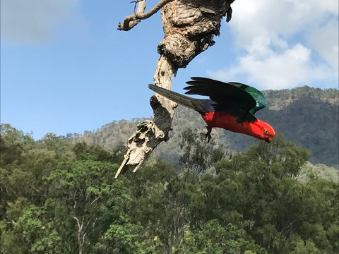 Cave Rock Cottages - Accommodation Cooktown 2