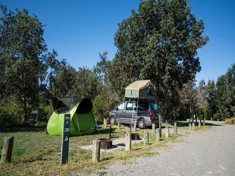 Crowdy Gap Campground - Accommodation Cooktown 2