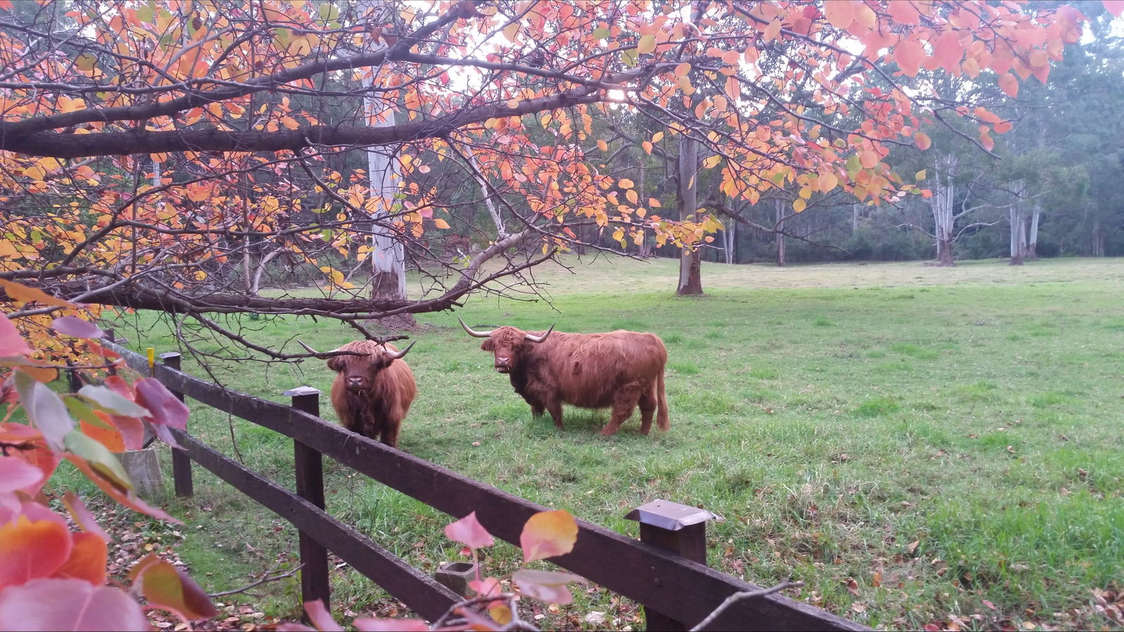 Annangrove NSW Accommodation Cooktown