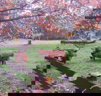 Dingley Dell - Accommodation Cooktown