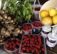 Pennyroyal Raspberry Farm and Cidery