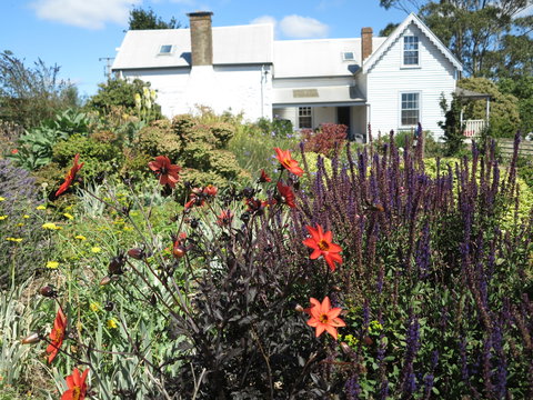 Robin Hood's Well Farm Stay - Accommodation Cooktown 2