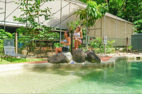 Safari Lodge - Accommodation Cooktown 2