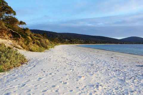 White Beach Tourist Park - Accommodation Cooktown 0