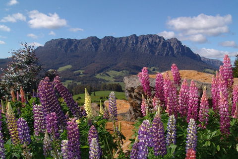 AAA Granary Accommodation - The Last Resort - Accommodation Cooktown 0