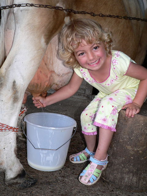 Ashmar Farmstay - Accommodation Cooktown 1