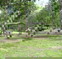 Broadwater camping area Abergowrie State Forest - Accommodation Cooktown