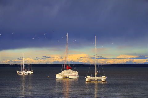 Chappies - Accommodation Cooktown 0