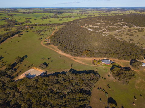 Eleanor River Homestead - Accommodation Cooktown 1