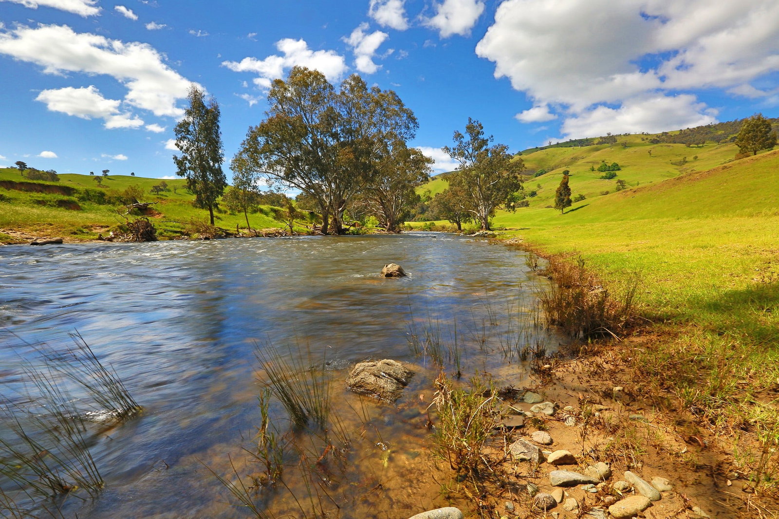 Tumut Plains NSW Accommodation Cooktown