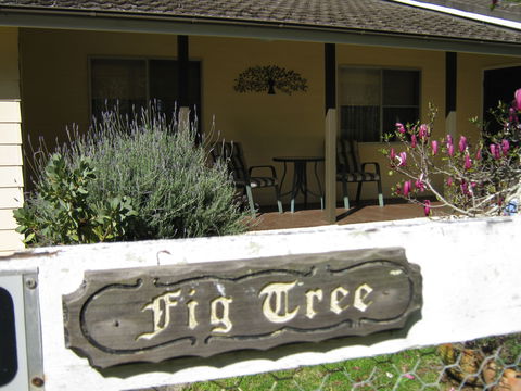 Figtree Cottage - Accommodation Cooktown 0