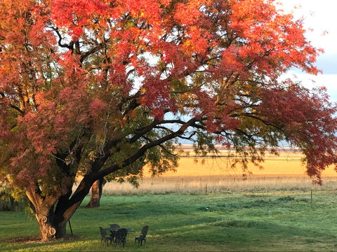 Little Kickabell Country Homestead - Accommodation Cooktown 0
