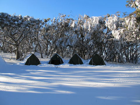 Mt Stirling Alpine Winter Camp - Accommodation Cooktown 1