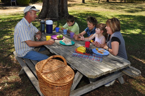 Naracoorte Caves Camping And Accomodation - Accommodation Cooktown 0