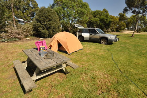 Naracoorte Caves Camping And Accomodation - Accommodation Cooktown 2