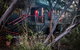 Serenity Cottage - thumb 1
