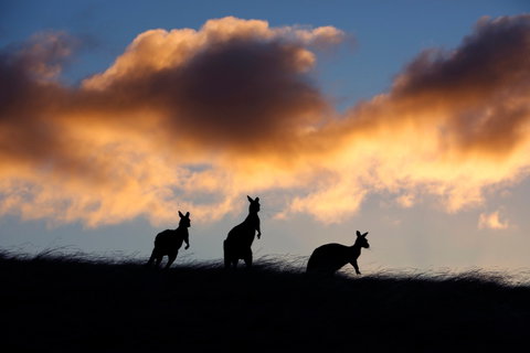 Sky House LifeTime Private Retreats - Accommodation Cooktown 1
