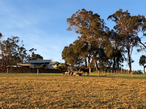 Great Southern Outback Tours & Accommodation - Accommodation Cooktown 2