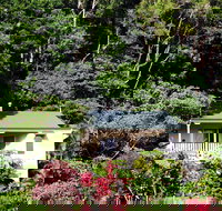 The Falls Montville - Accommodation Cooktown