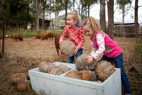 Tommerups Dairy Farmstay - Accommodation Cooktown 2