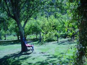 Murnong Self Contained Cottages - Accommodation Cooktown 3