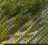 Stringybark Cottages - Accommodation Cooktown