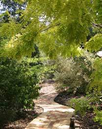 Eagle Hammer Cottages - Accommodation Cooktown 0