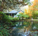 Monreale Estate - Accommodation Cooktown