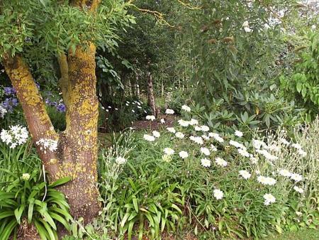 Torwood VIC Accommodation Cooktown