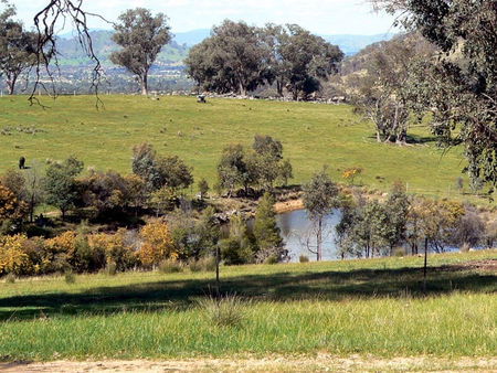Gaddleen Grove Cottages - Accommodation Cooktown 3
